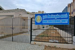 நாய் இனப்பெருக்க மையம்