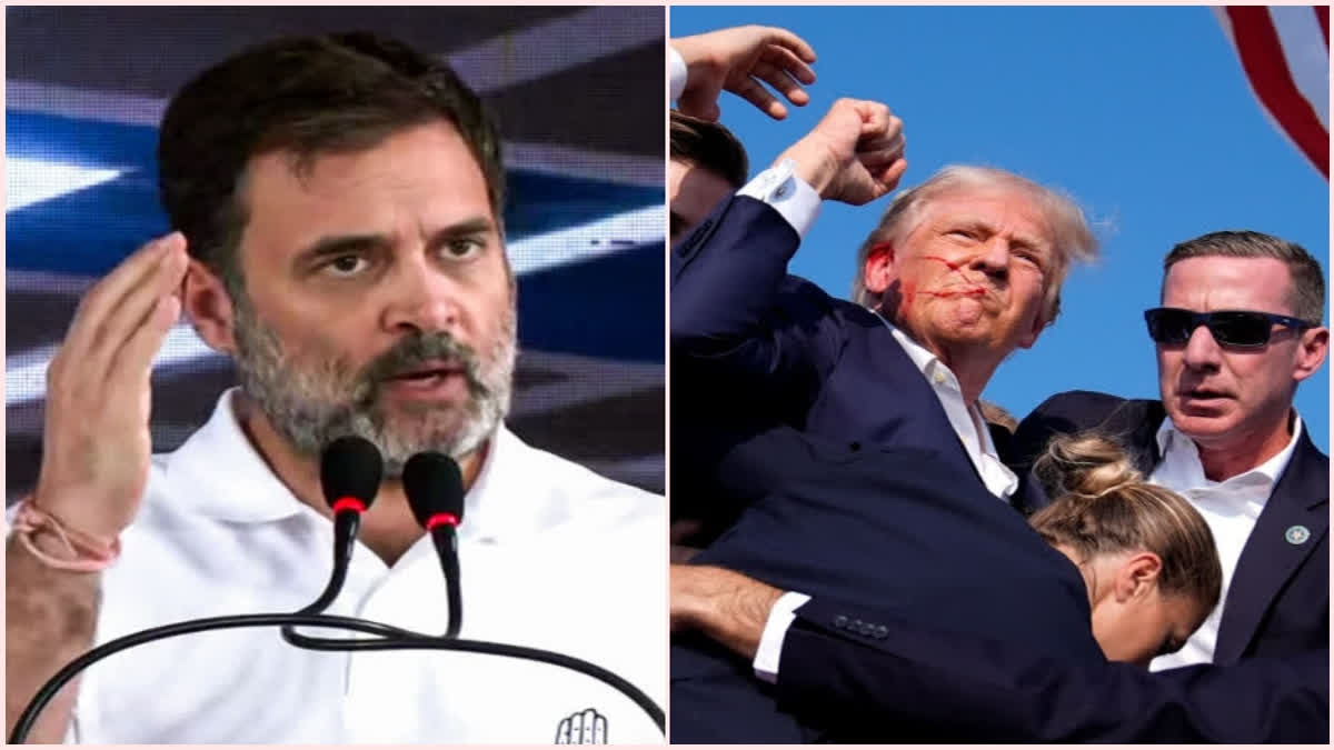 'Such Acts Must Be Condemned In Strongest Terms': Rahul On Assassination Attempt On Ex-US President Rahul Gandhi expressed deep concern over the apparent assassination attempt on former US President Donald Trump, and said such acts must be condemned in the strongest possible terms.