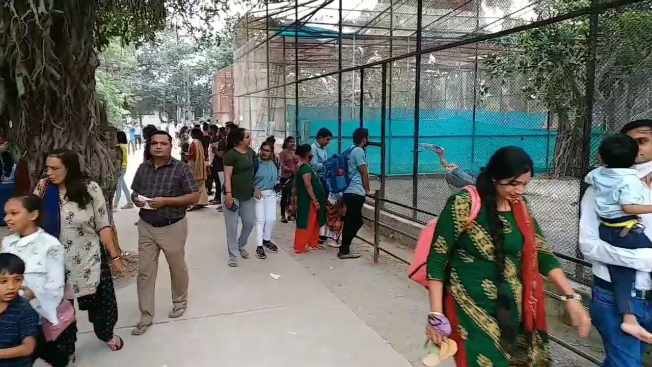 દરરોજ મોટી સંખ્યામાં સહેલાણીઓ આવે છે આ પ્રાણી સંગ્રહાલયની મુલાકાતે