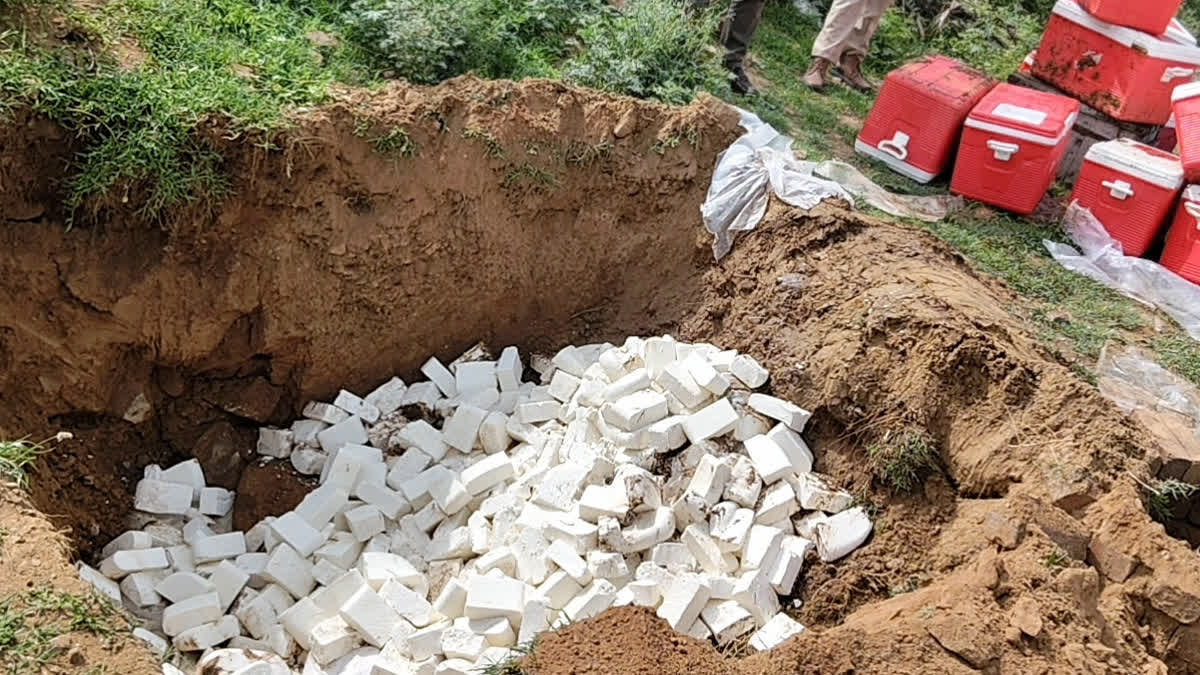 Fake cheese found in a police patrol vehicle, 545 kg of synthetic cheese destroyed