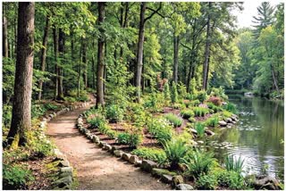 A Rainforest in Amaravati's Sakhamuru Park - A dense forest with over 20 000 trees and plants