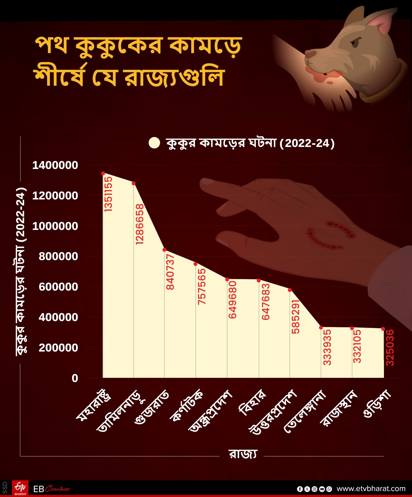STRAY DOG SITUATION IN INDIA