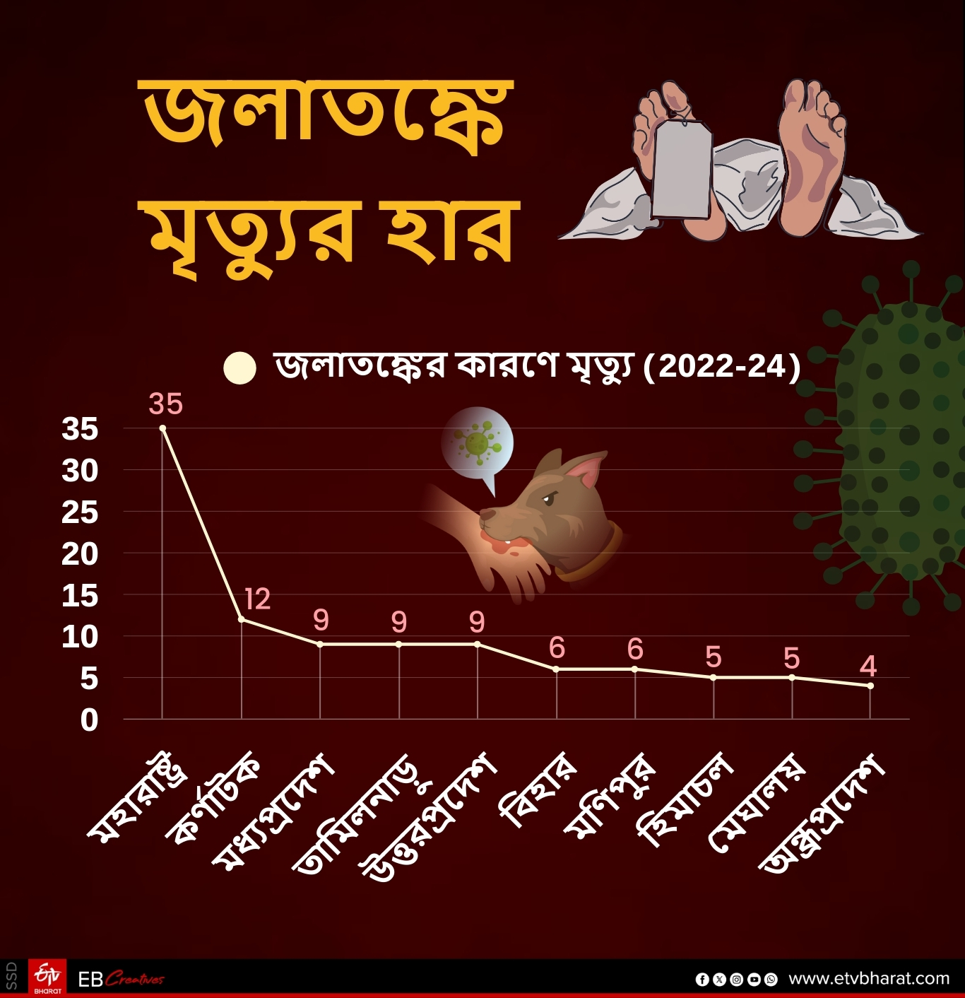 STRAY DOG SITUATION IN INDIA