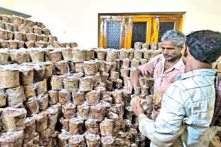 Independence Day Special