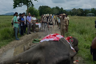 Kaziranga National Park staff pays tribute to Mohanmala
