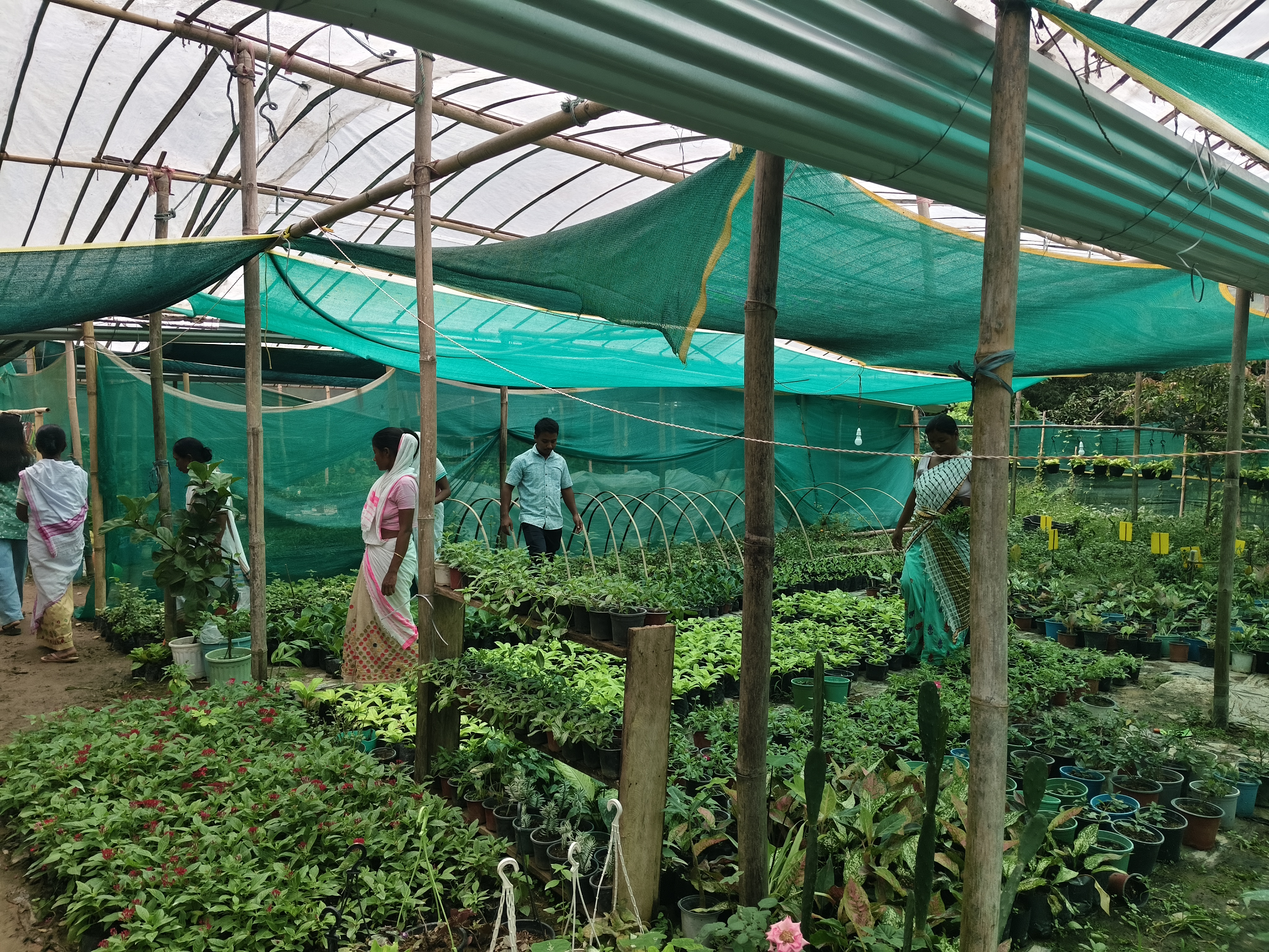 A young man has become self-sufficient through nursery, fish farming, and duck farming in Dibrugarh