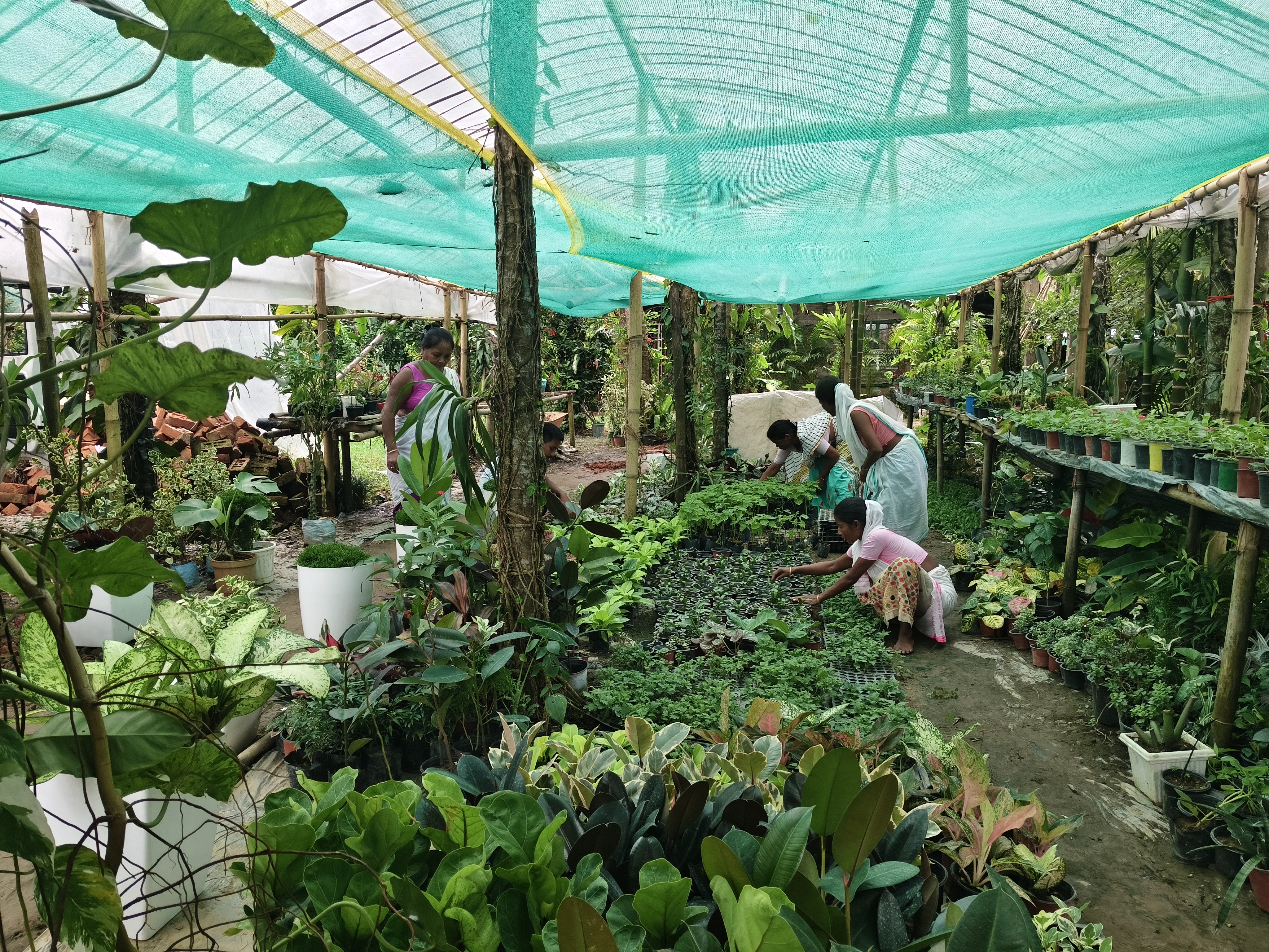 A young man has become self-sufficient through nursery, fish farming, and duck farming in Dibrugarh