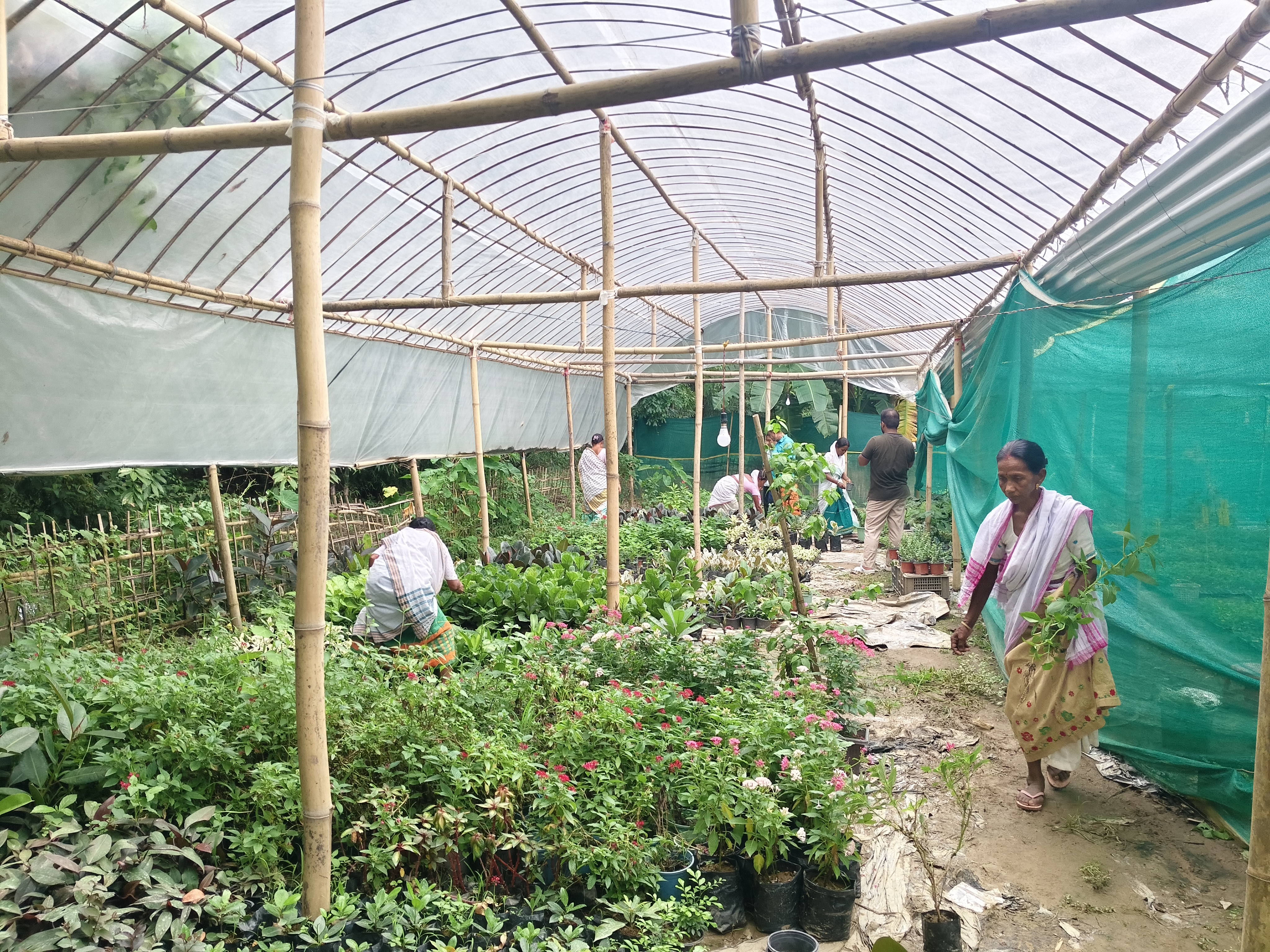 A young man has become self-sufficient through nursery, fish farming, and duck farming in Dibrugarh
