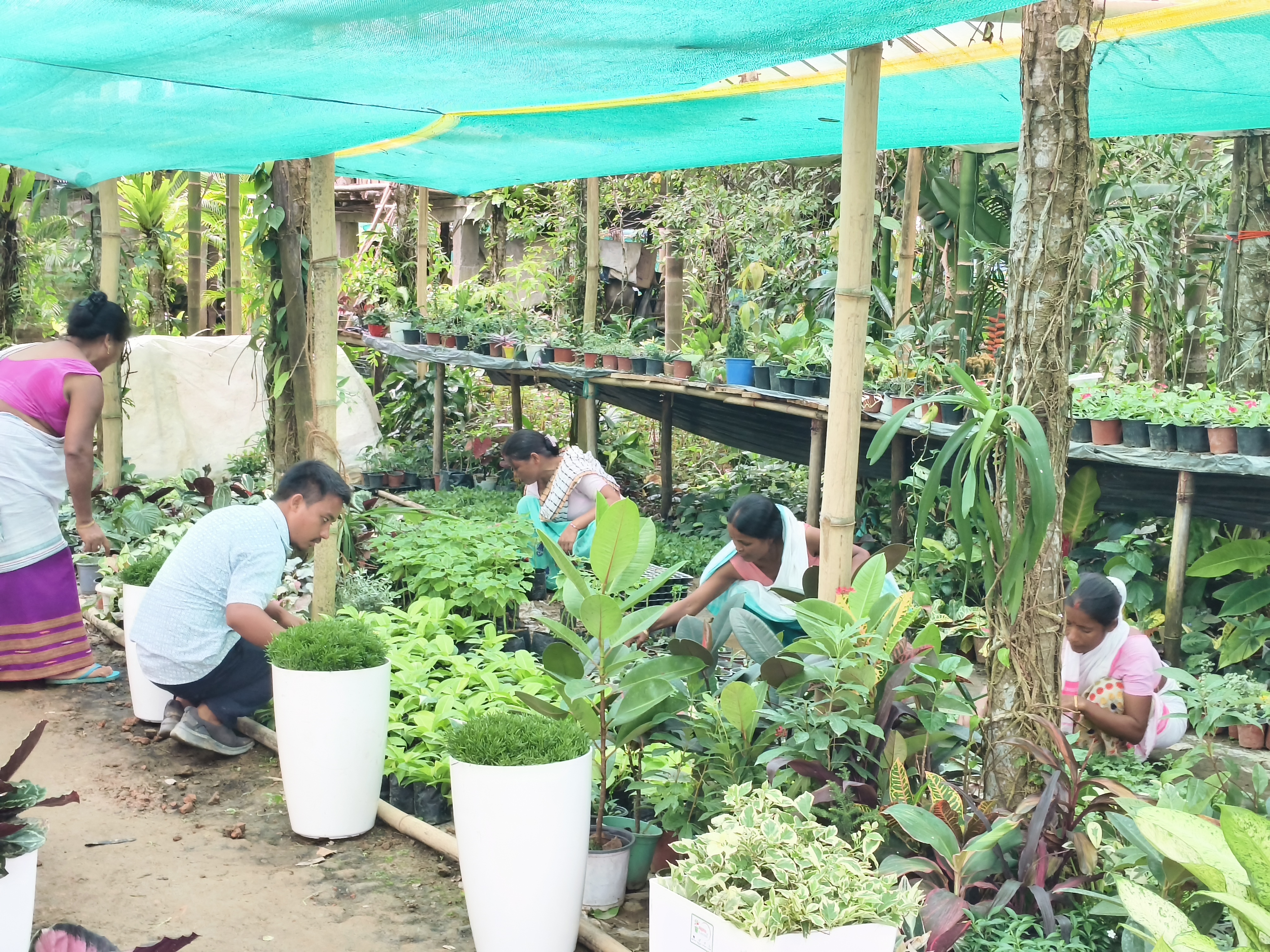 A young man has become self-sufficient through nursery, fish farming, and duck farming in Dibrugarh