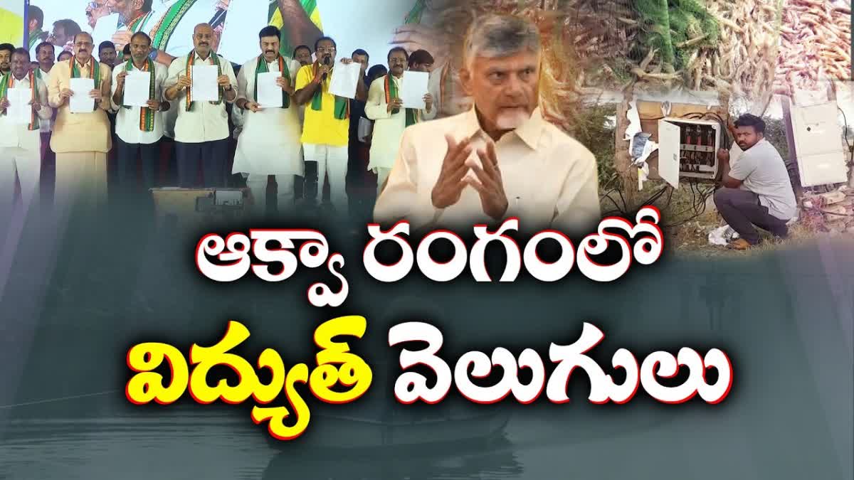 Power Subsidy Aqua Culture AP