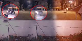 Telangana: Cow Chases Policemen Around Temple During Midnight Patrol In Jagtial