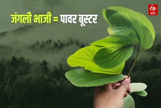 SHADOL SPECIAL JUNGLI BHAJI KOILAR