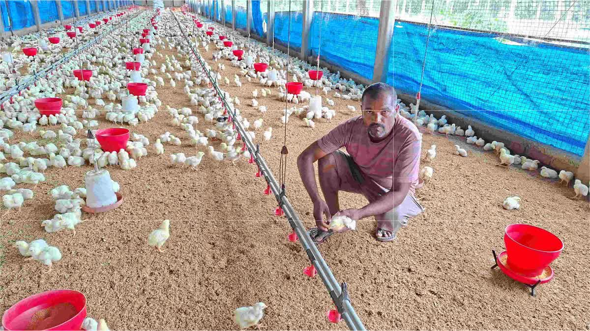 Farmer Dasharath engaged in poultry farming