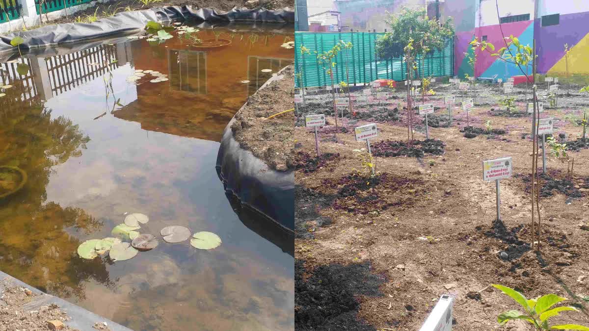 Special Park For Birds