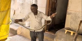 DAVANAGERE: FIVE-FOOT-LONG SNAKE RESCUED IN KUNDUVADA