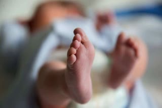Newborn Body Donation