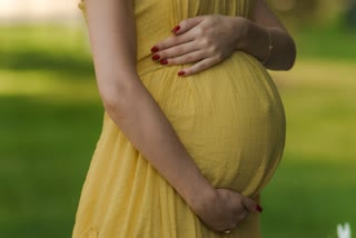 Fetal Brain Development Nutrition