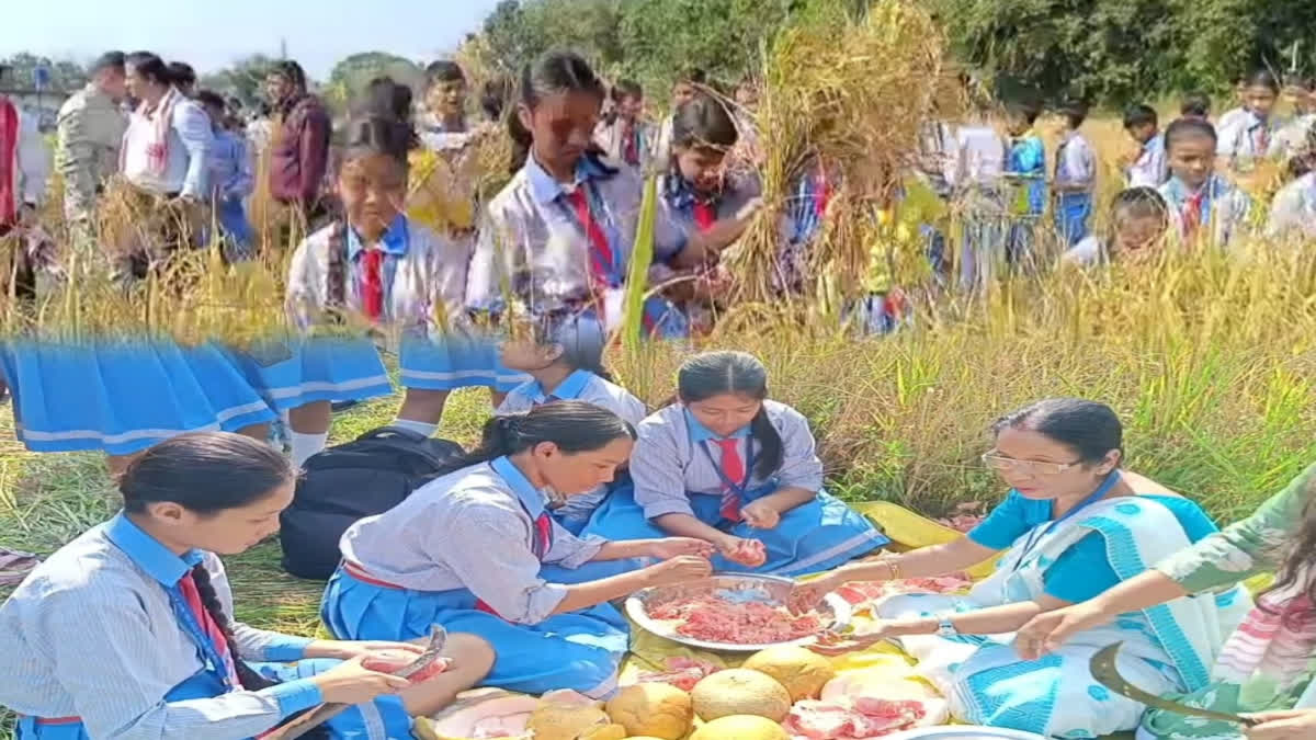 Jorhat students paddy harvesting