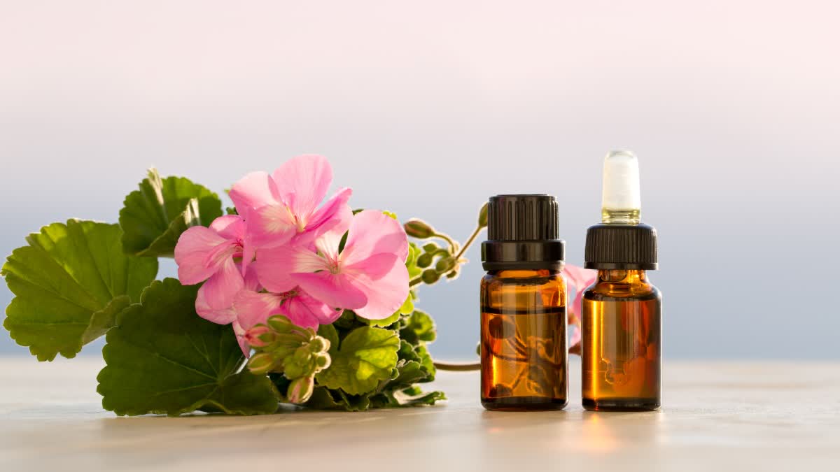 பொடுகு தொல்லையை நீக்கும் ரோஸ் வாட்டர்: முடி பராமரிப்புக்கு எப்படி பயன்படுத்துவது?