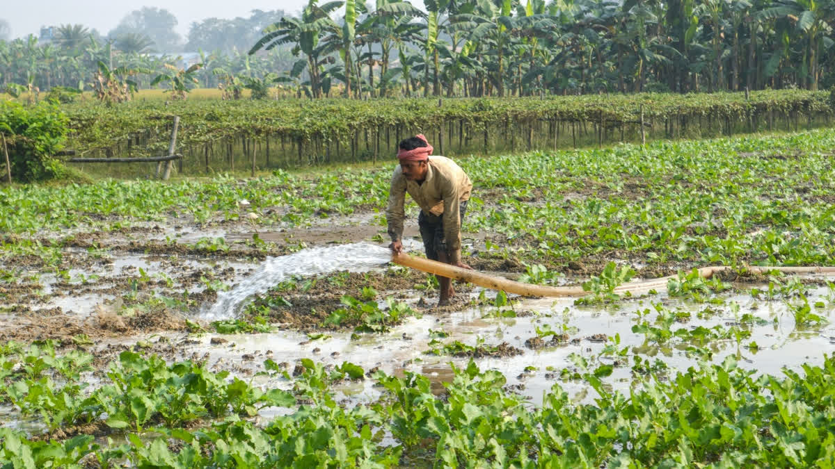 PM KISAN Instalment Release On November 19