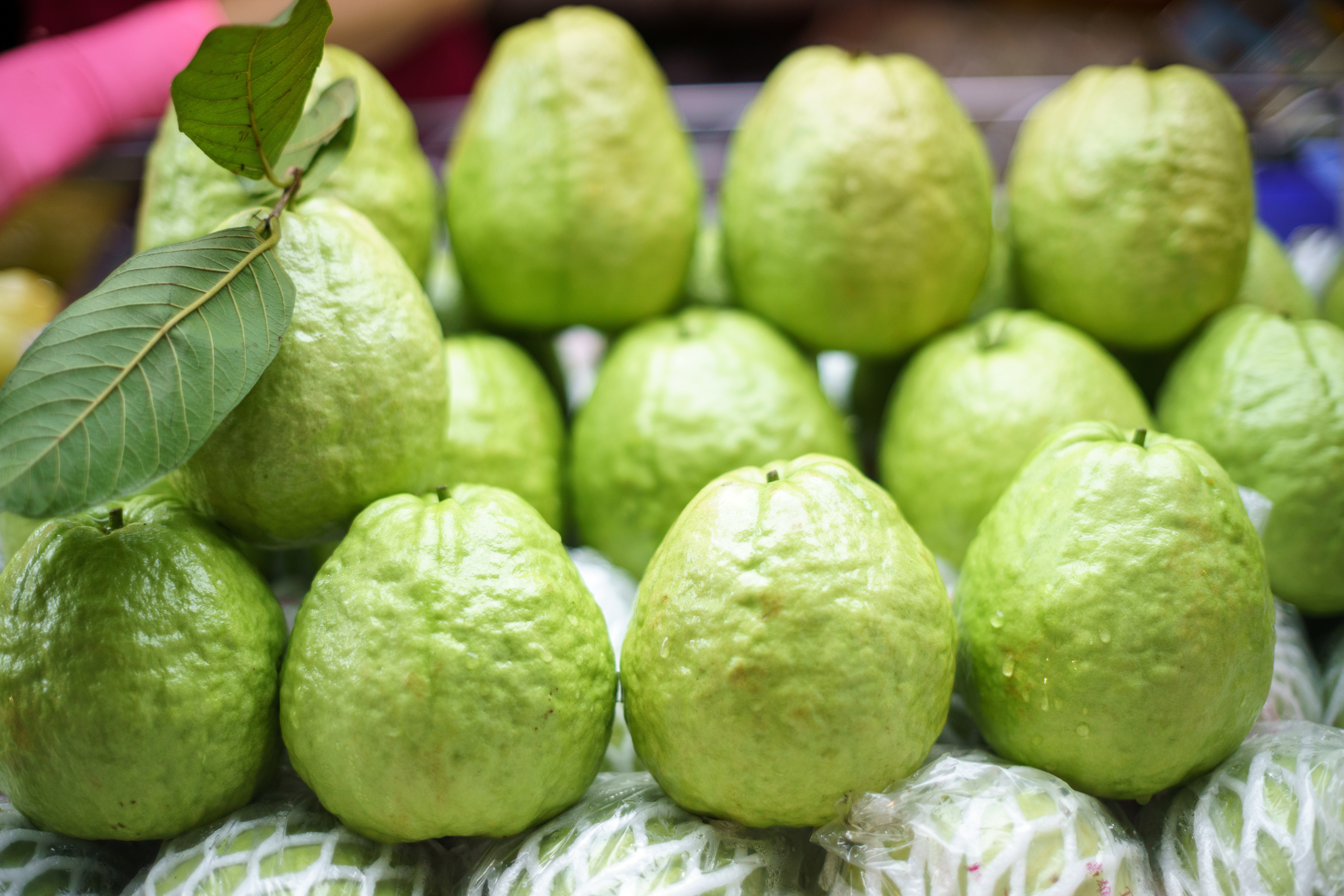 PINK GUAVA  GUAVA FOR DIABETIC PATIENTS  NUTRIENTS IN PINK GUAVA  PINK GUAVA BENEFITS