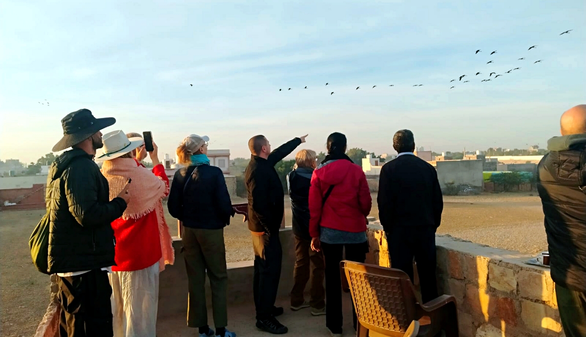 Rare Shift Of Migratory Birds In Rajasthan's iconic Marwar Region This Winter