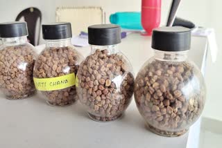 New Variety In Chana Seeds