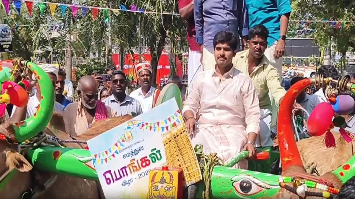 பொங்கல் விழாவில் 'மாஸ்' காட்டிய திருவள்ளூர் கலெக்டர் - உறி அடித்து உற்சாகம்