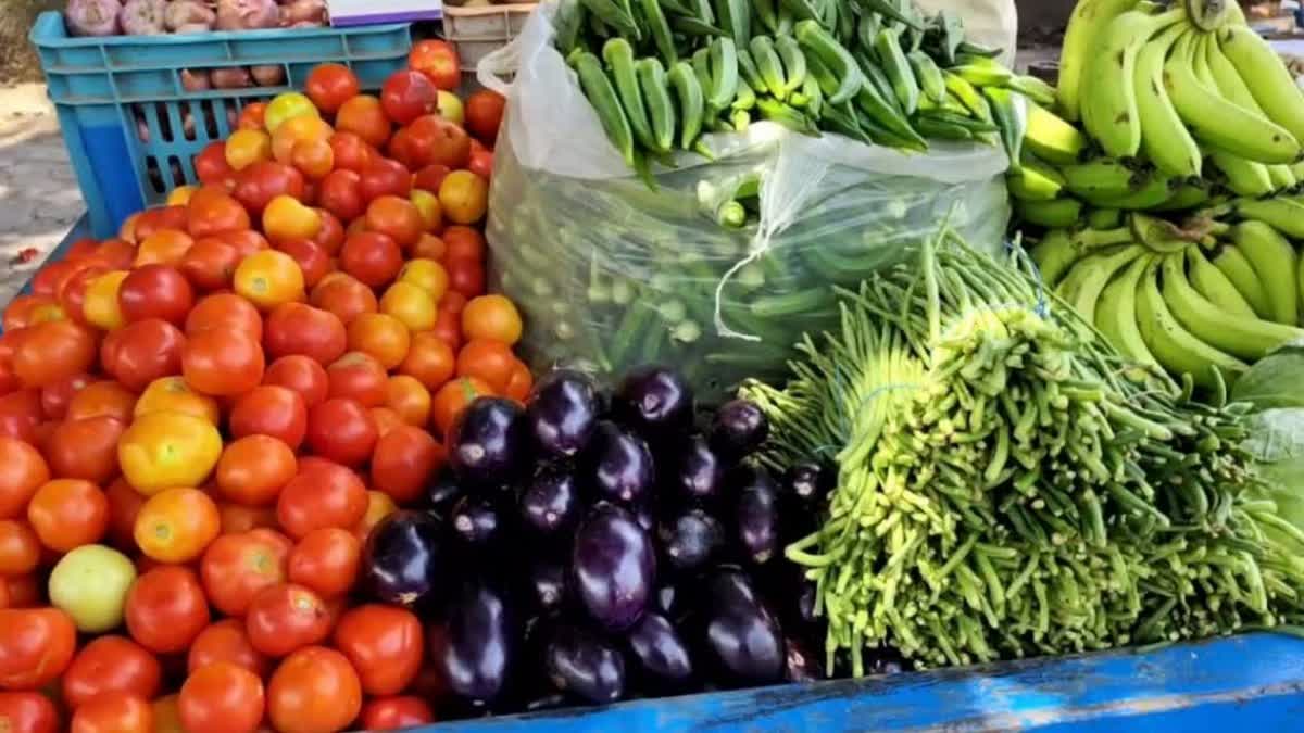 नालों के ‘जहरीले’ पानी से उगाई जा रही सब्जियां, हाईकोर्ट ने सरकार से मांगा जवाब