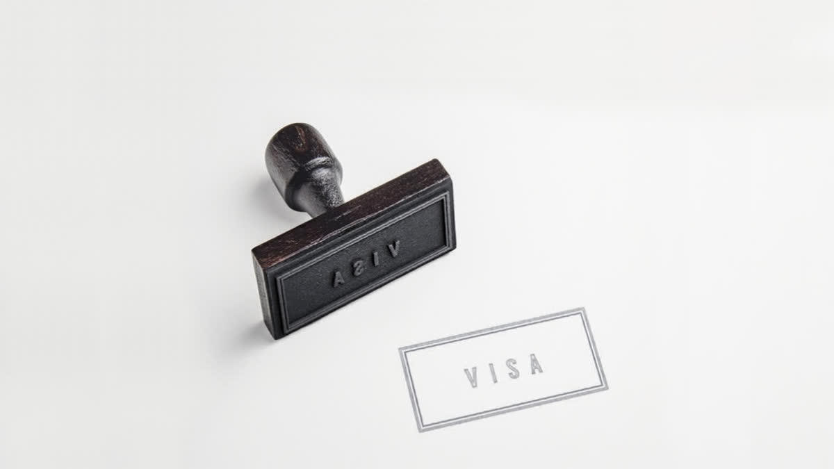 US Pauses Immigrant Visa