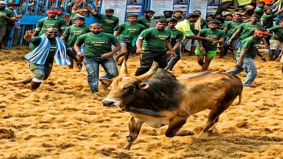 HOW Jallikattu Broke Barriers