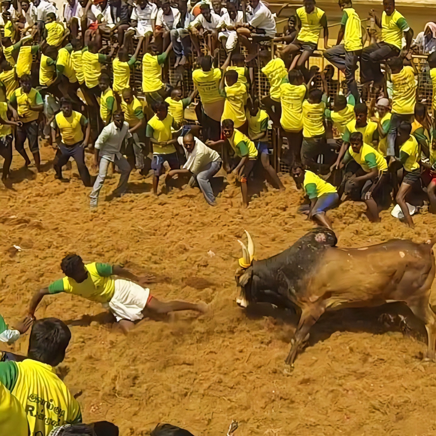 HOW Jallikattu Broke Barriers