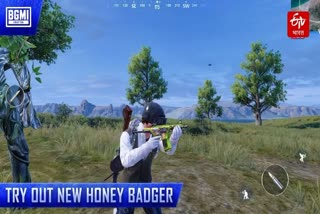 BGMI 4.2 Update