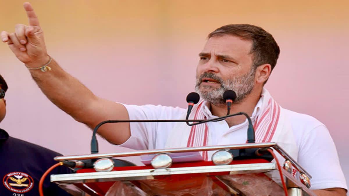 Protesting Farmers Fighting for Country, Just like Soldiers Do on Borders: Rahul