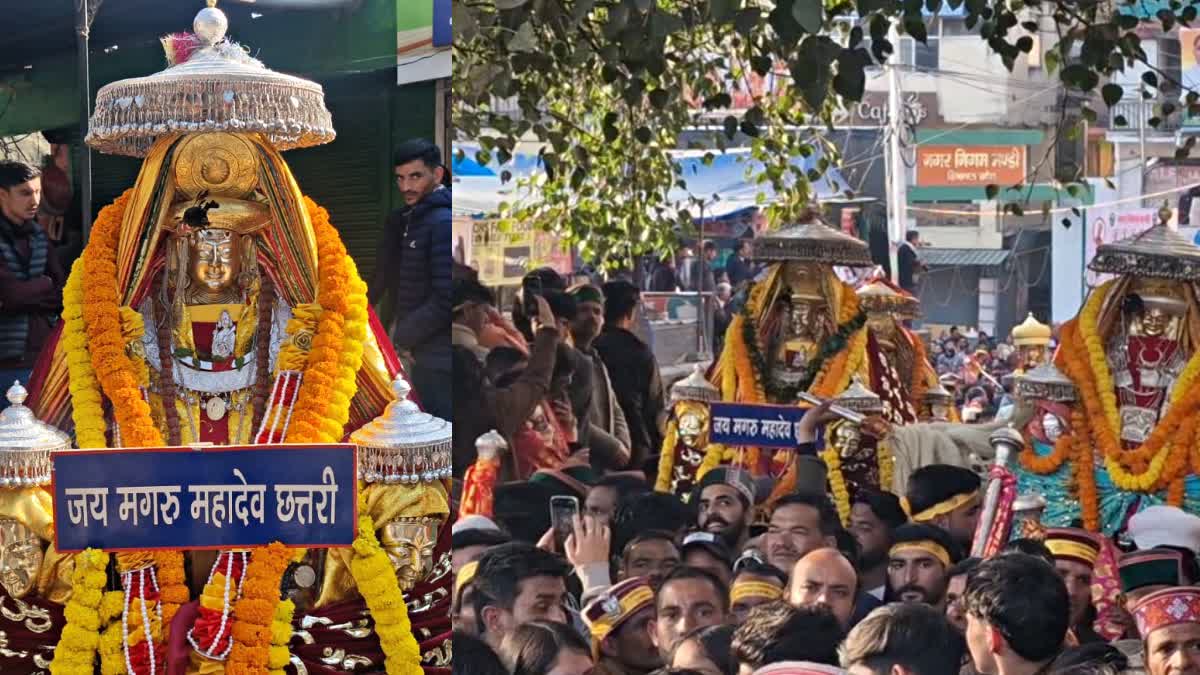 INTERNATIONAL SHIVRATRI FESTIVAL