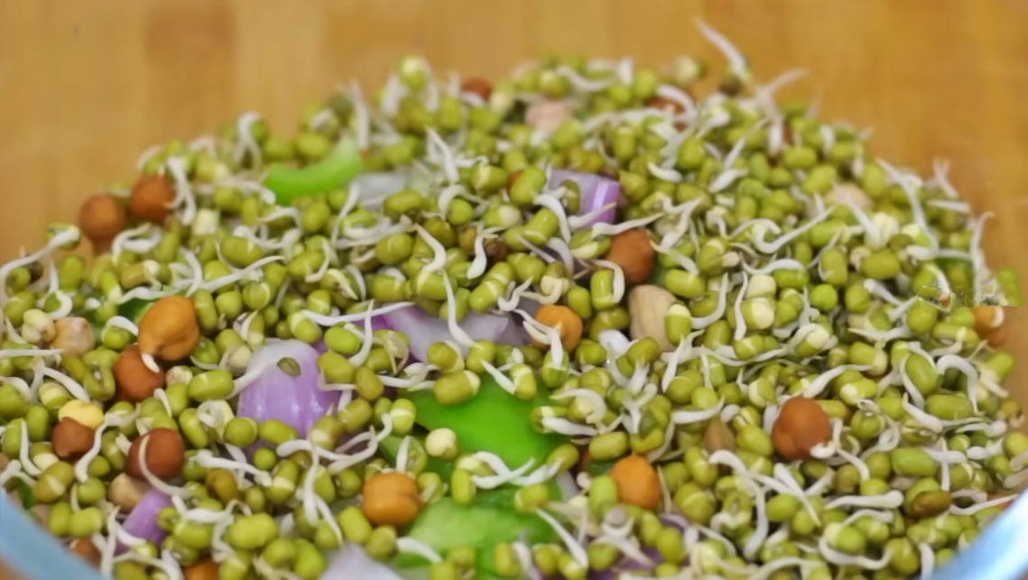 Vegetable Sprouts Salad