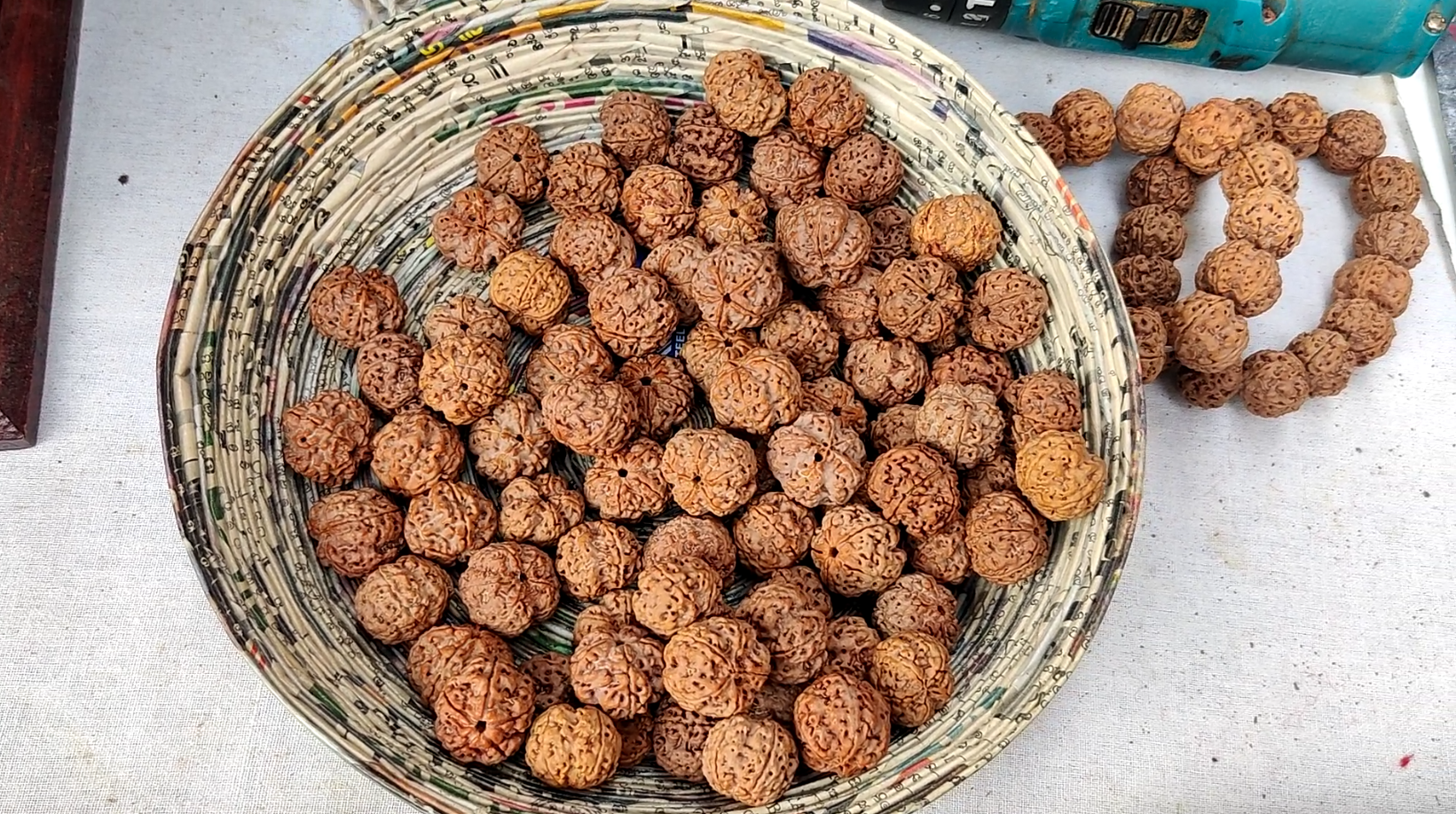 Karan Nirula from Nepal is earning crores of rupees from Rudraksha set up a stall at the Surajkund Fair and revealed a trick to identify genuine Rudraksha