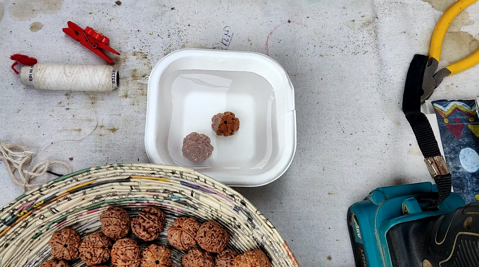 Karan Nirula from Nepal is earning crores of rupees from Rudraksha set up a stall at the Surajkund Fair and revealed a trick to identify genuine Rudraksha