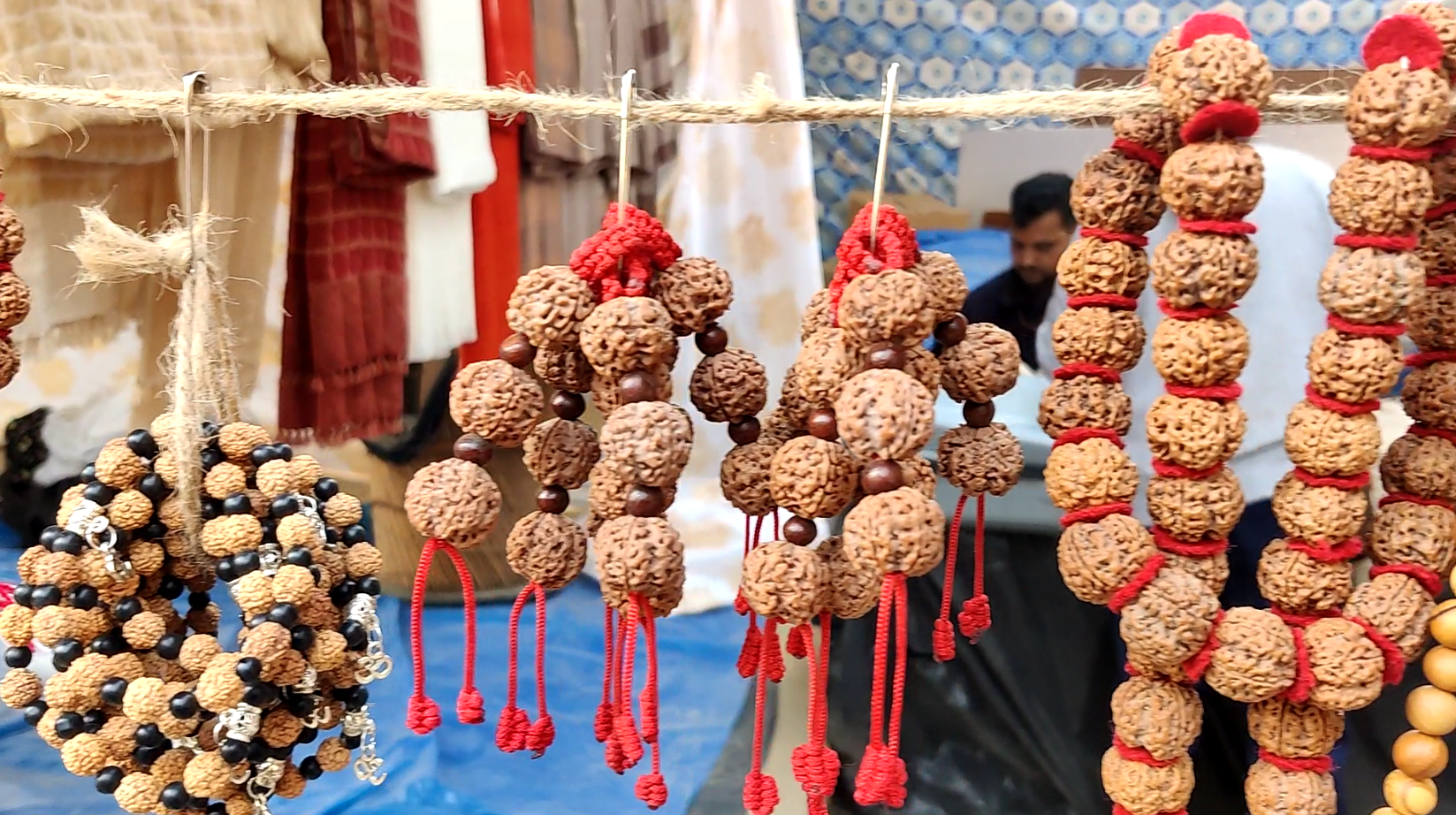 Karan Nirula from Nepal is earning crores of rupees from Rudraksha set up a stall at the Surajkund Fair and revealed a trick to identify genuine Rudraksha