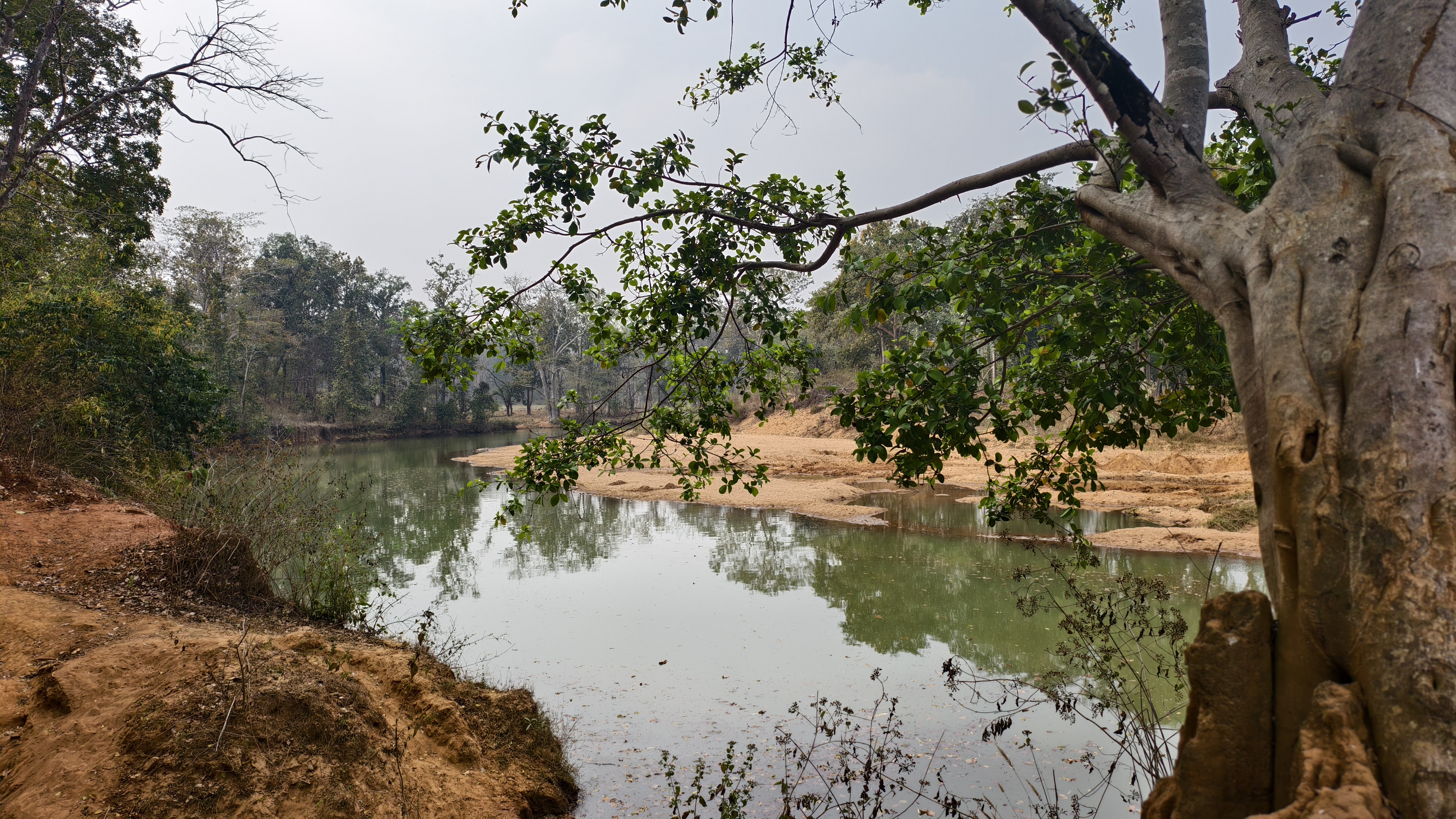 From Maoist Stronghold To Tourist Hub: The Revival Of Bhongapal In Chhattisgarh