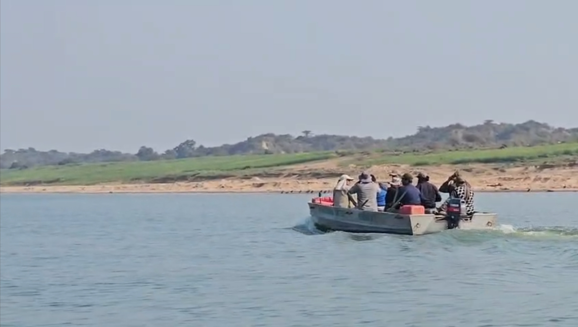 dolphin crocodile conservation