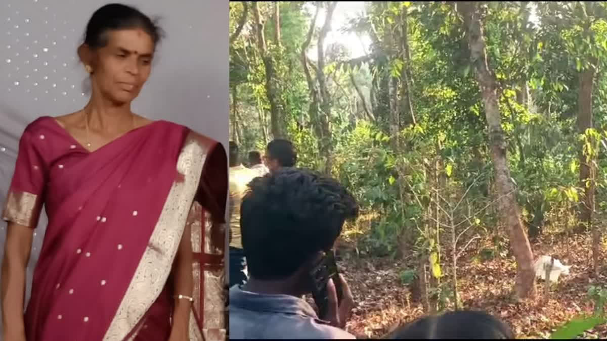 Karnataka: Woman Dies In Elephant Attack In Hassan District; Forest Minister Directs To Set Up Dedicated Task Force Karnataka: Woman Died In Elephant Attack In Hassan District