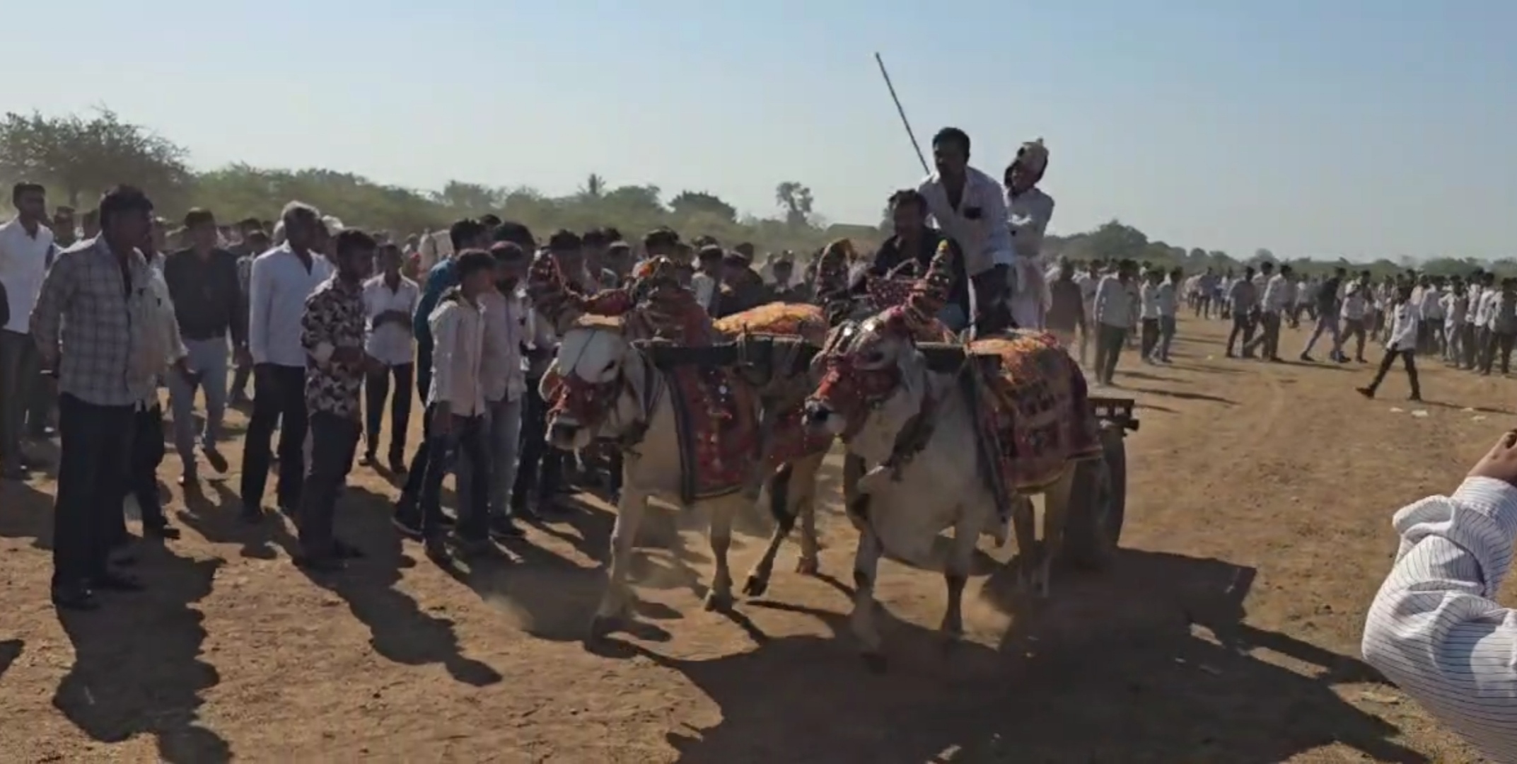 કેશોદમાં ધુણેશ્વર દાદાના લોકમેળામાં ઘોડારેસ અને બળદગાડાની રેસ યોજાય છે.