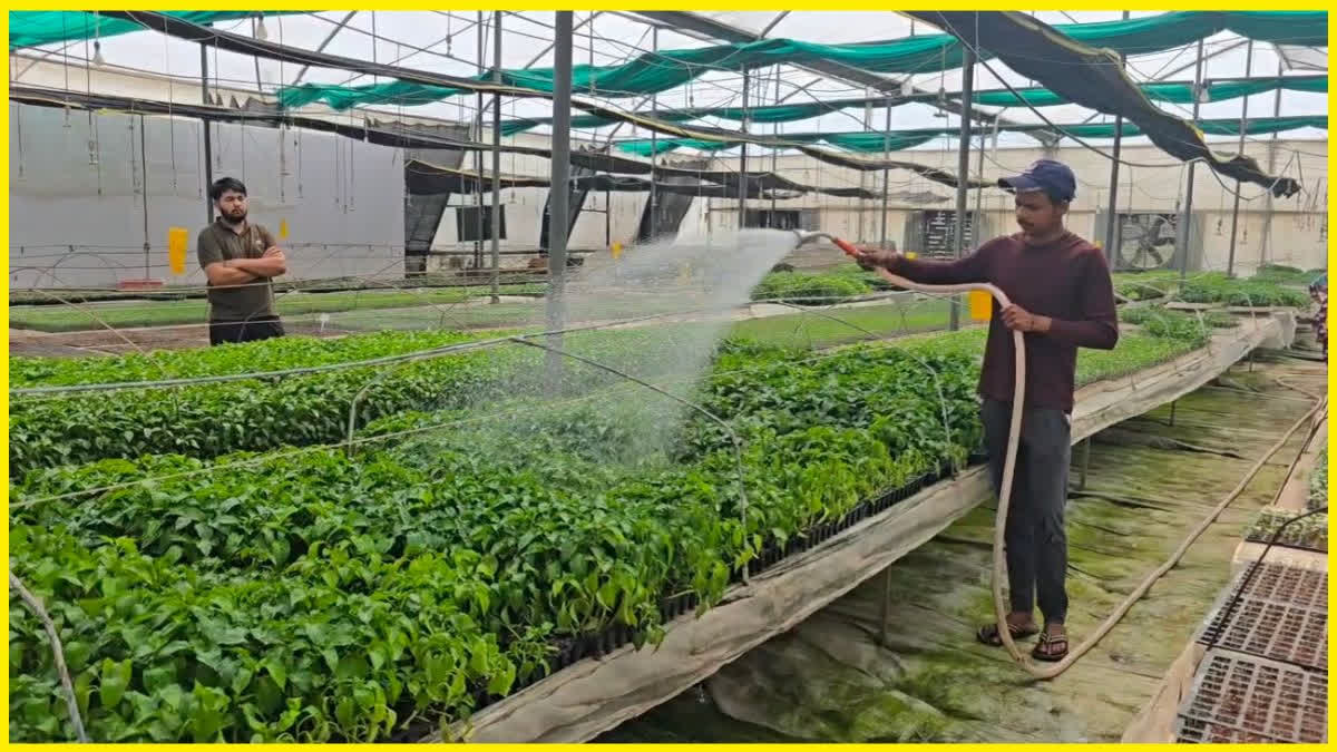Kurukshetra Farmer Turns Farming Into Money Spinning Enterprise Delhi Police Head Constable Transforms Lives Of Underprivileged Children