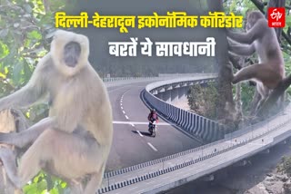 DELHI DEHRADUN ECONOMIC CORRIDOR