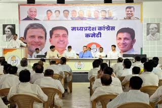 MP CONGRESS REVIEW MEETING