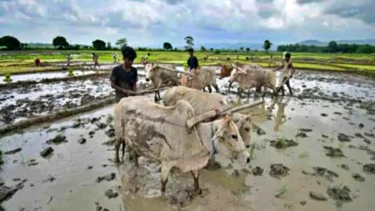 PM Kisan Samman Nidhi