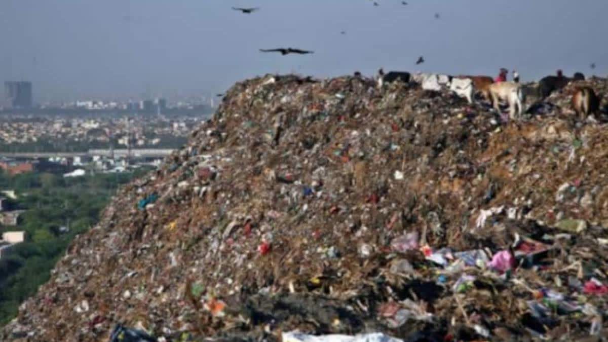 Okhla landfills to be cleared by December 2025Etv Bharat