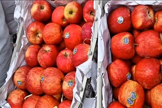 boycotting Turkish apples