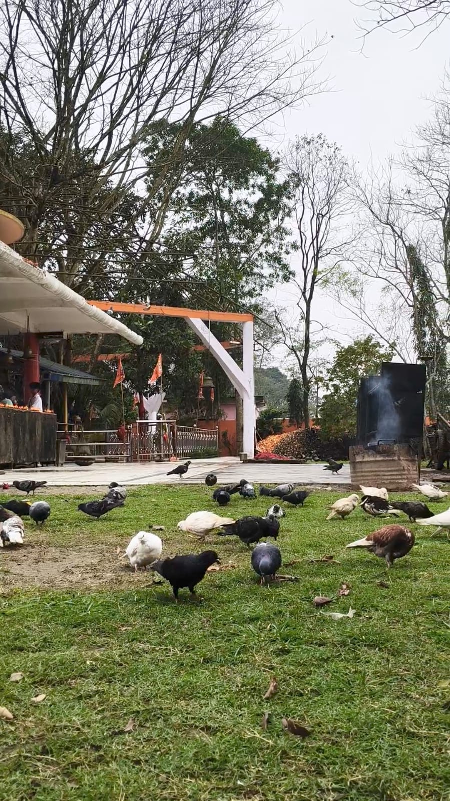 TILINGA MANDIR IN BORDUBI